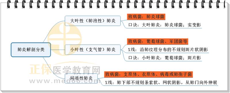 4.肺炎解剖分類思維導(dǎo)圖 4.肺炎解剖分類思維導(dǎo)圖