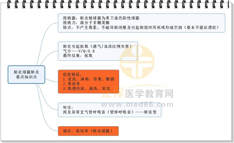 5.肺炎球菌肺炎重點知識點思維導(dǎo)圖 5.肺炎球菌肺炎重點知識點思維導(dǎo)圖