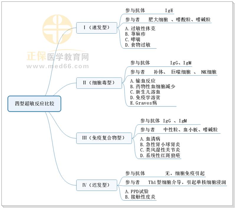 3.四型超敏反應(yīng)比較思維導(dǎo)圖 3.四型超敏反應(yīng)比較思維導(dǎo)圖