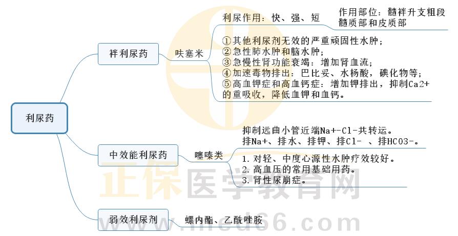 2.利尿藥1 2.利尿藥1