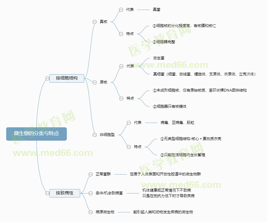 微生物的分類與特點(diǎn) 微生物的分類與特點(diǎn)