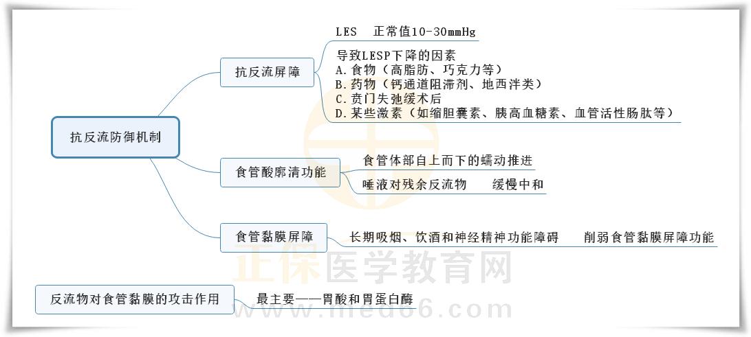 2.胃食管反流病抗反流防御機(jī)制思維導(dǎo)圖 2.胃食管反流病抗反流防御機(jī)制思維導(dǎo)圖