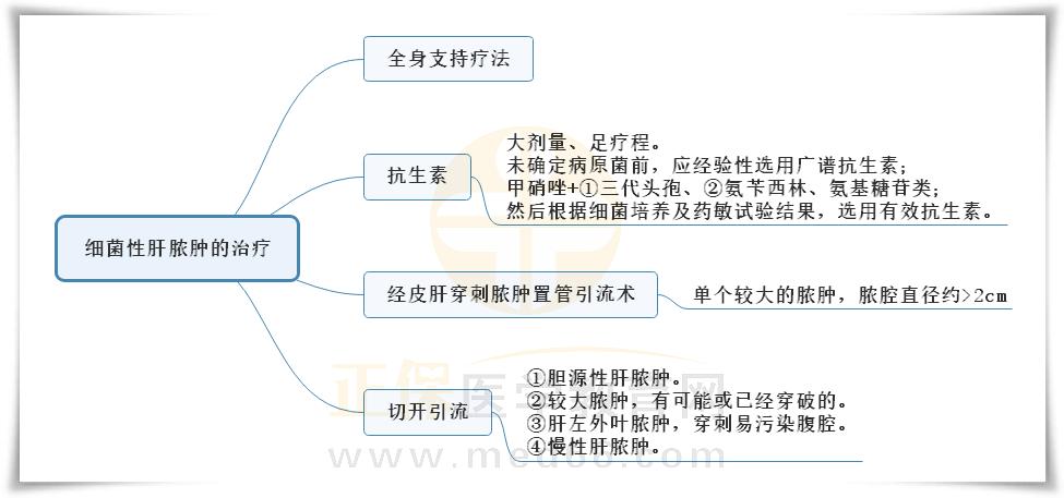 6.細(xì)菌性肝膿腫的治療 6.細(xì)菌性肝膿腫的治療