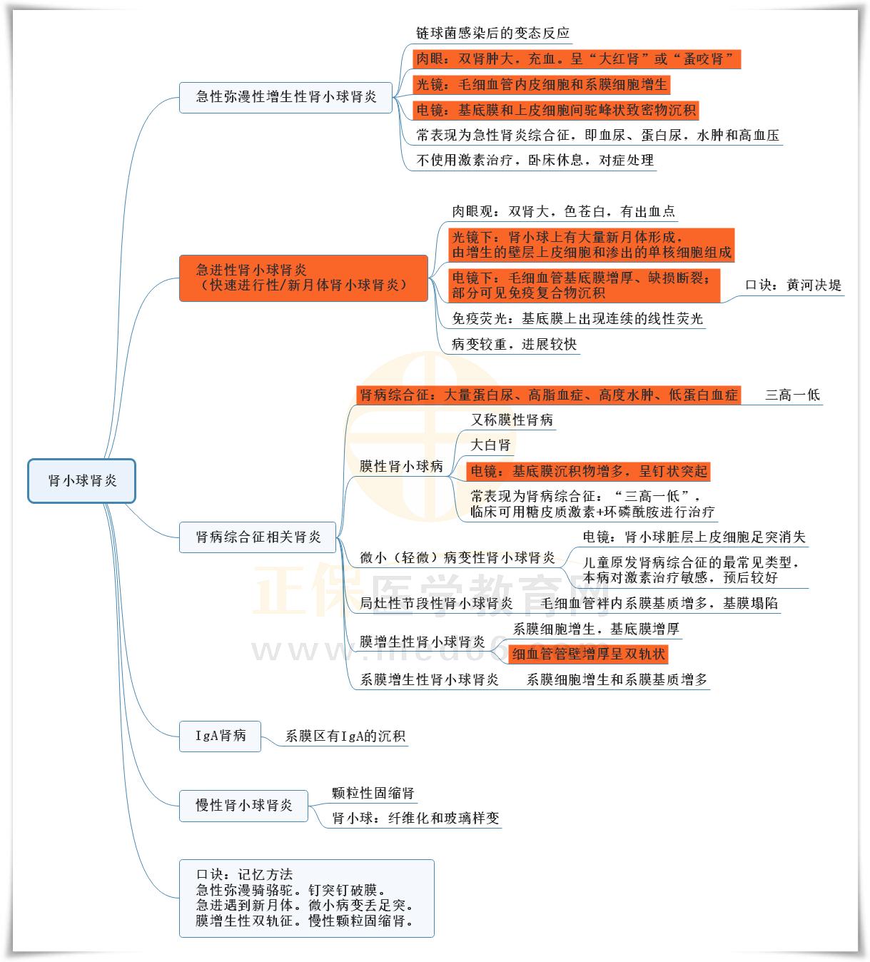 4.腎小球腎炎的思維導(dǎo)圖 4.腎小球腎炎的思維導(dǎo)圖