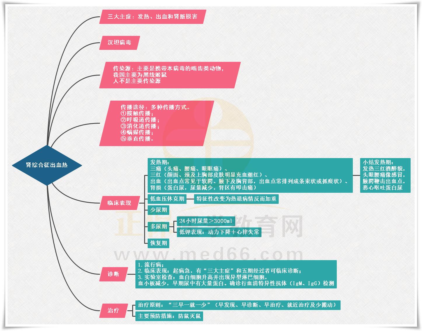 2.腎綜合征出血熱思維導(dǎo)圖 2.腎綜合征出血熱思維導(dǎo)圖