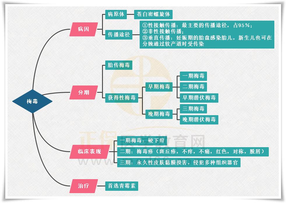 3.梅毒思維導(dǎo)圖 3.梅毒思維導(dǎo)圖