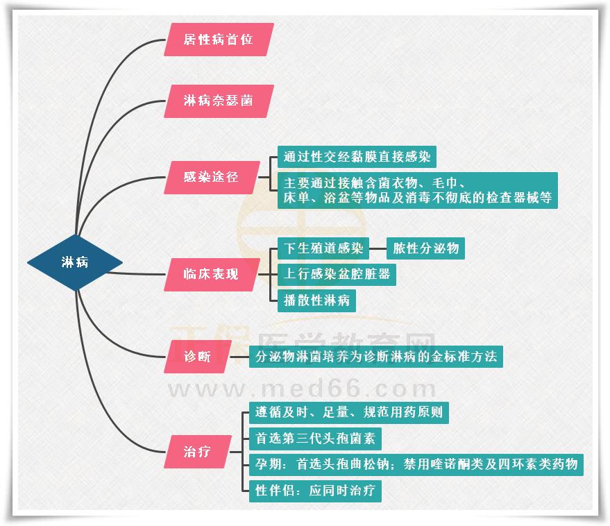 4.淋病思維導(dǎo)圖 4.淋病思維導(dǎo)圖