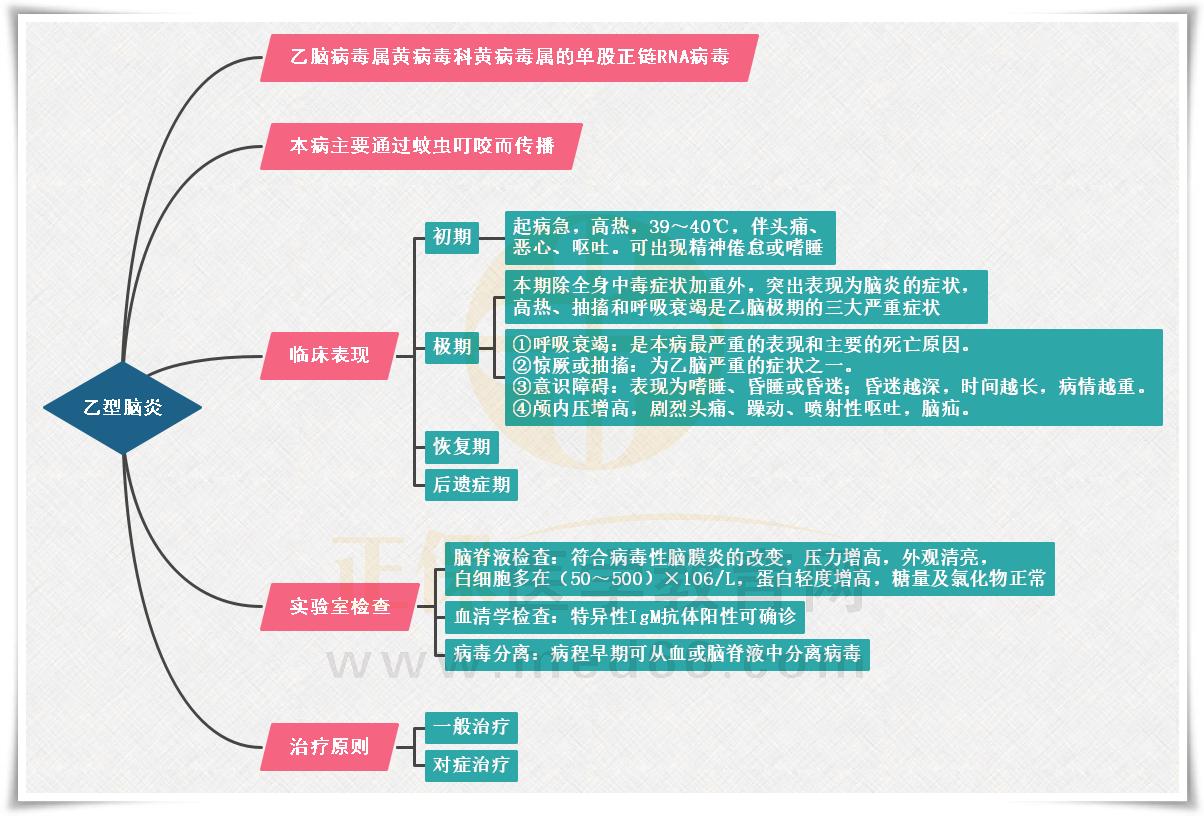 5.流行性乙型腦炎思維導(dǎo)圖 5.流行性乙型腦炎思維導(dǎo)圖