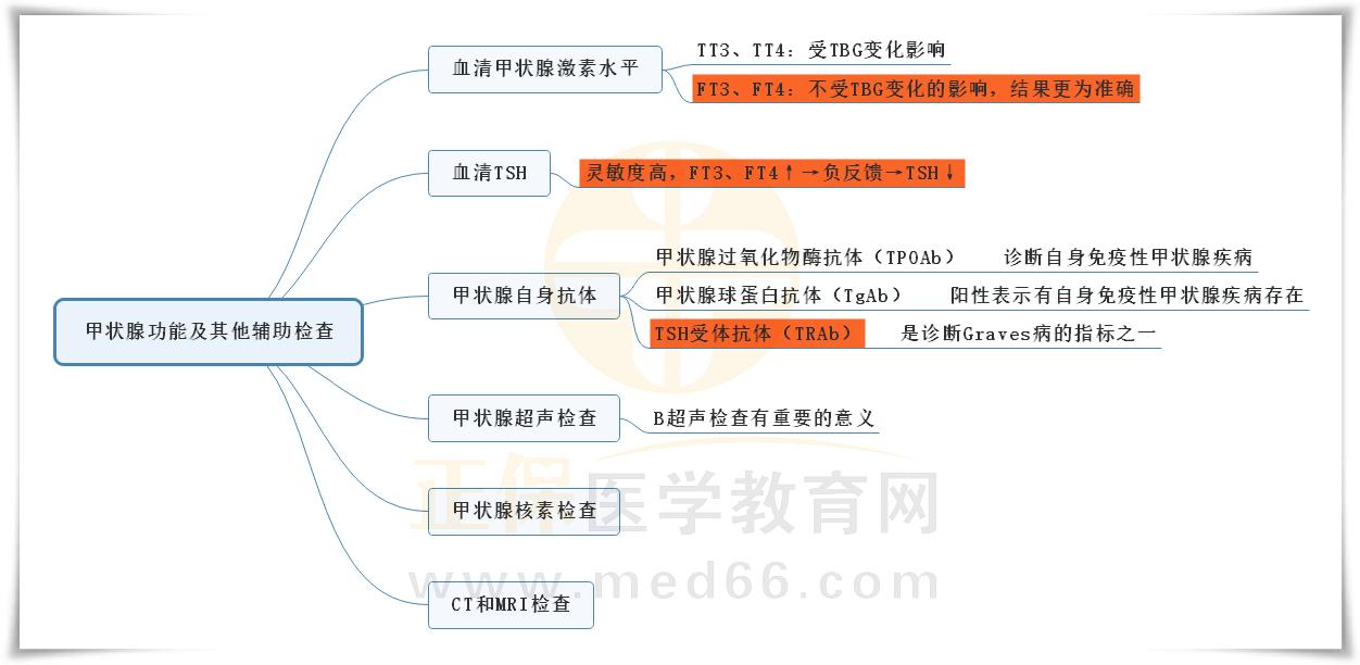 1.甲亢甲狀腺功能及其他輔助檢查思維導(dǎo)圖 1.甲亢甲狀腺功能及其他輔助檢查思維導(dǎo)圖