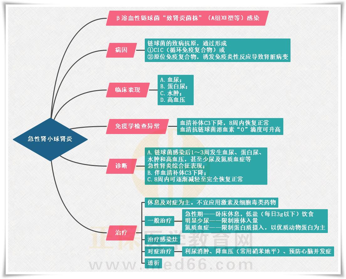 3.急性腎小球腎炎的思維導(dǎo)圖 3.急性腎小球腎炎的思維導(dǎo)圖
