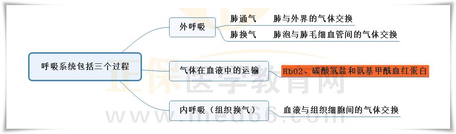 2.呼吸系統(tǒng)包括三個(gè)過(guò)程思維導(dǎo)圖 2.呼吸系統(tǒng)包括三個(gè)過(guò)程思維導(dǎo)圖