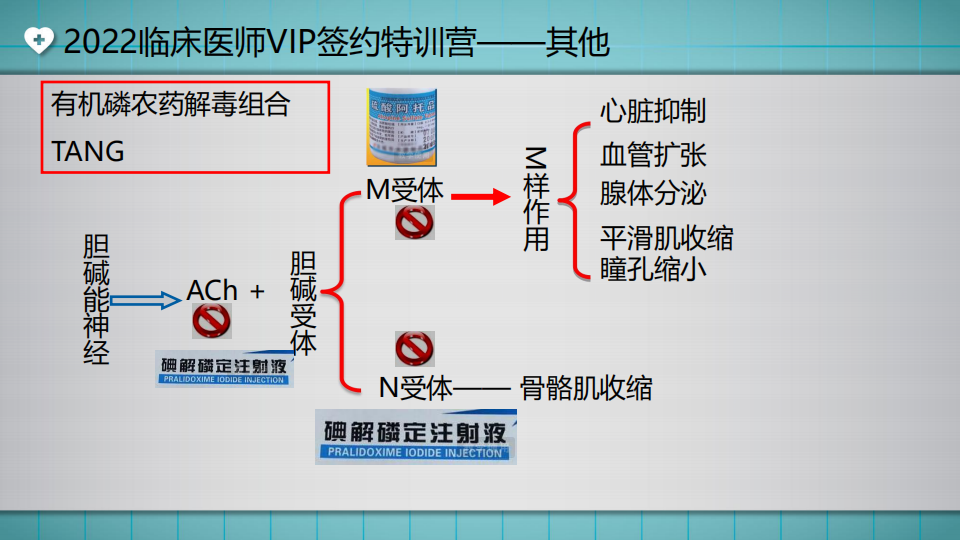 2022臨床醫(yī)師VIP簽約特訓(xùn)營——其他(第2次)直播講義_21 2022臨床醫(yī)師VIP簽約特訓(xùn)營——其他(第2次)直播講義_21