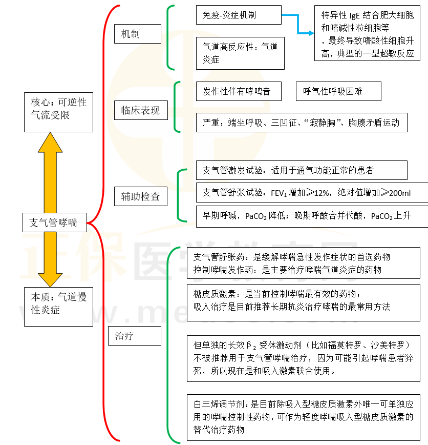 支氣管哮喘 支氣管哮喘
