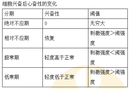 細胞興奮后的變化 細胞興奮后的變化