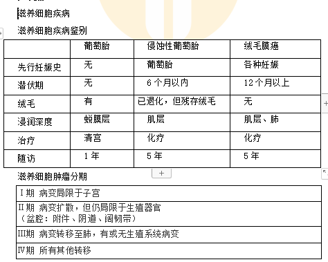 滋養(yǎng) 滋養(yǎng)