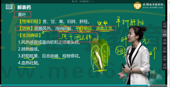 《中藥學(xué)專業(yè)知識(shí)二》考點(diǎn)回顧360 《中藥學(xué)專業(yè)知識(shí)二》考點(diǎn)回顧360