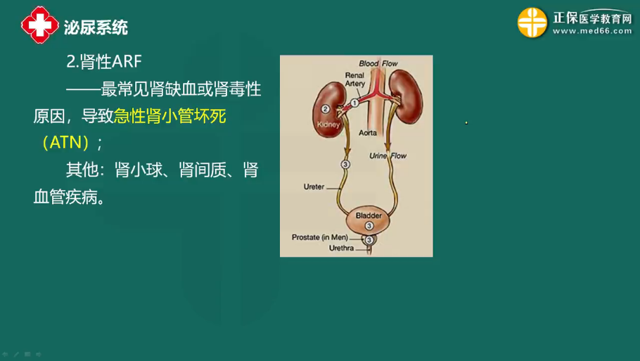 急性腎衰竭-3 急性腎衰竭-3