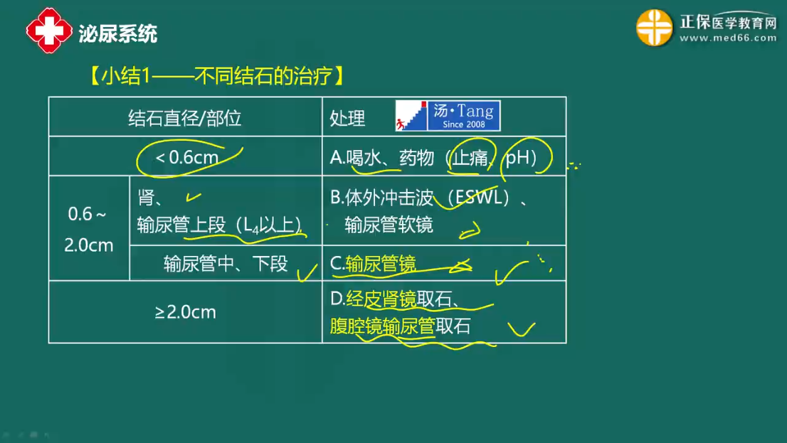 尿路結石-1 尿路結石-1