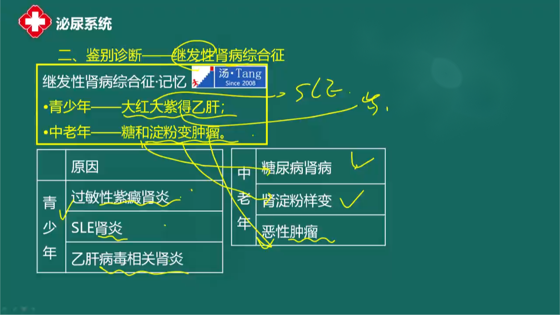 腎病綜合征-2 腎病綜合征-2