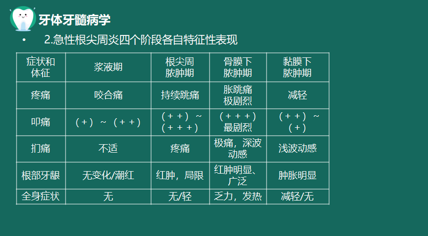 急性根尖周炎四個(gè)階段特征性表現(xiàn) 急性根尖周炎四個(gè)階段特征性表現(xiàn)