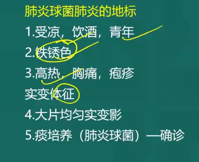 肺炎鏈球菌肺炎-2 肺炎鏈球菌肺炎-2