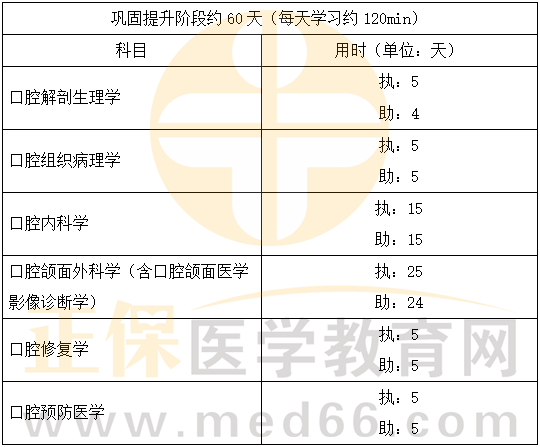 口腔學霸計劃-2 口腔學霸計劃-2