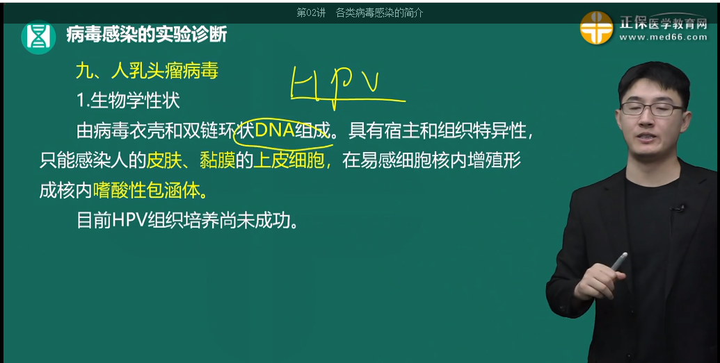 人乳頭瘤病毒 人乳頭瘤病毒
