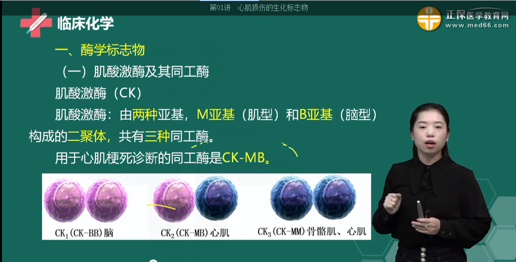 肌酸激酶同工酶 肌酸激酶同工酶