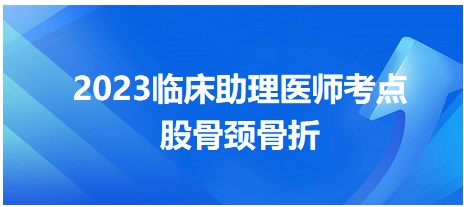 2023臨床助理醫(yī)師考點(diǎn)股骨頸骨折 2023臨床助理醫(yī)師考點(diǎn)股骨頸骨折