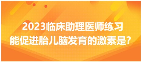 2023臨床助理醫(yī)師練習-促進胎兒腦發(fā)育的激素是？