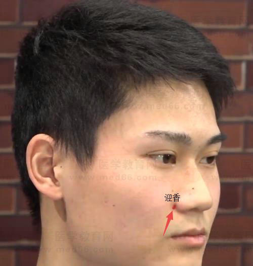 迎香 迎香