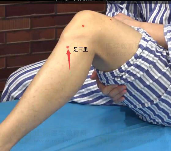 足三里 足三里