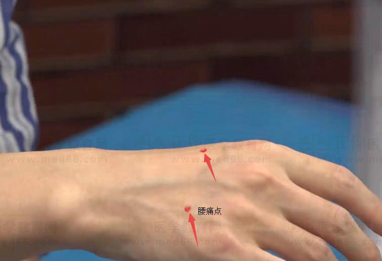 腰痛點(diǎn) 腰痛點(diǎn)