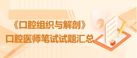 口腔組織與解剖 口腔組織與解剖