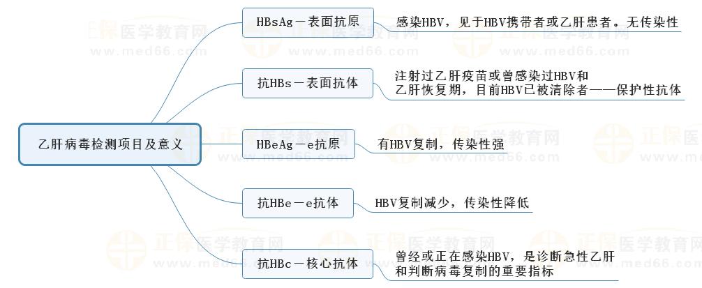 4.乙肝病毒檢測項目及意義 4.乙肝病毒檢測項目及意義