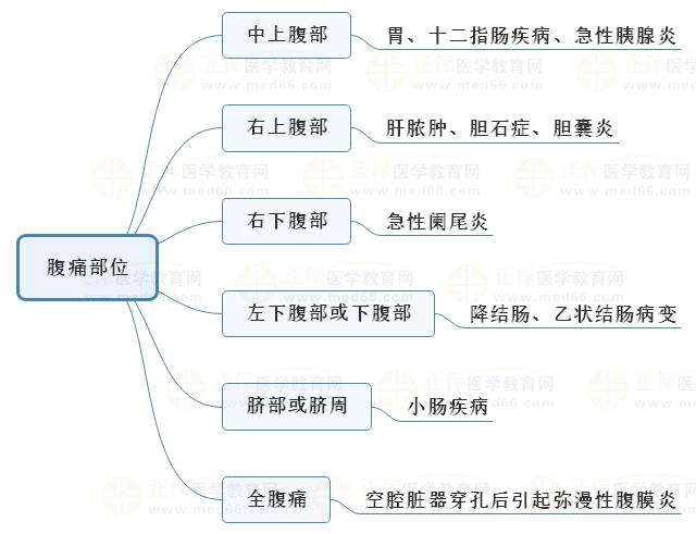 5.腹痛部位 5.腹痛部位