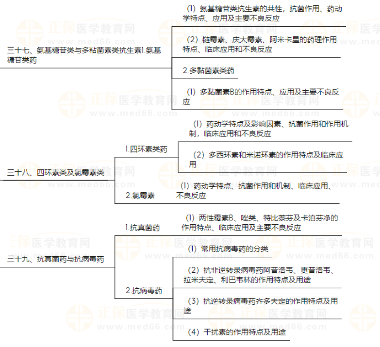 藥理學(xué)13 藥理學(xué)13