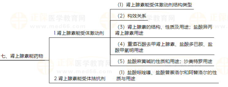 藥物化學6 藥物化學6