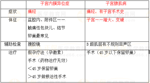 子宮內(nèi)膜異位癥與子宮腺肌病對(duì)比記憶 子宮內(nèi)膜異位癥與子宮腺肌病對(duì)比記憶