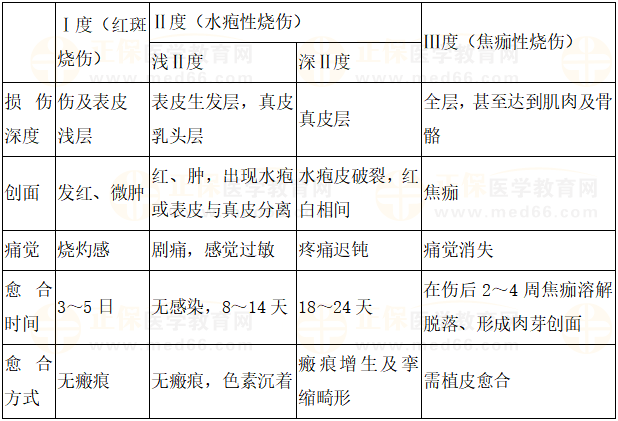 燒傷分度 燒傷分度