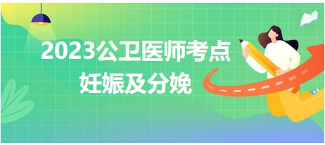 妊娠及分娩歷年考點(diǎn)總結(jié) 妊娠及分娩歷年考點(diǎn)總結(jié)