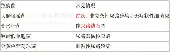 尿路感染常見致病菌 尿路感染常見致病菌