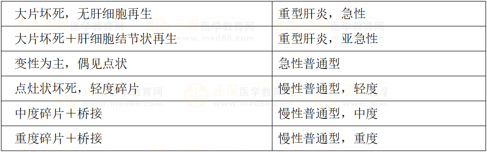 肝炎病理變化對(duì)比 肝炎病理變化對(duì)比