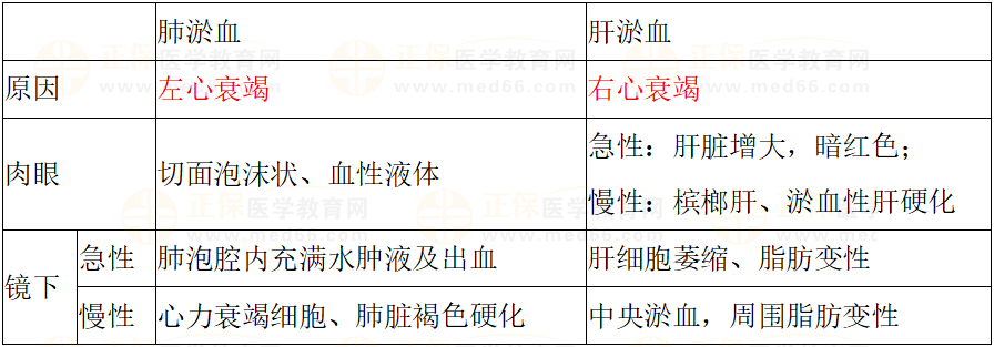 肺淤血和肝淤血 肺淤血和肝淤血