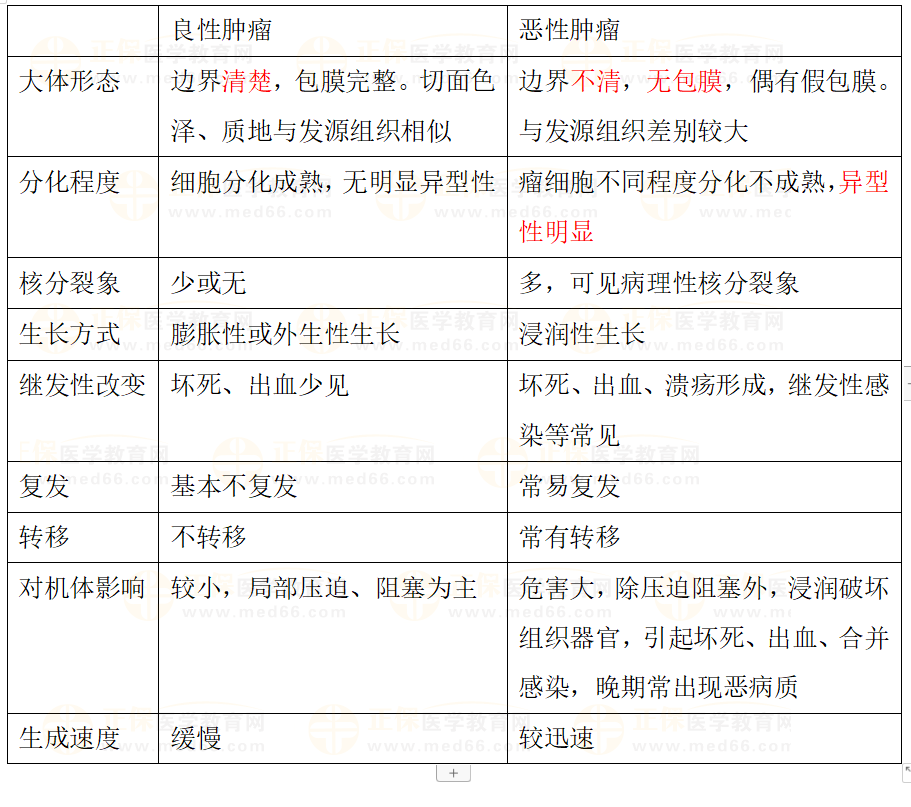 良性腫瘤與惡性腫瘤的區(qū)別 良性腫瘤與惡性腫瘤的區(qū)別