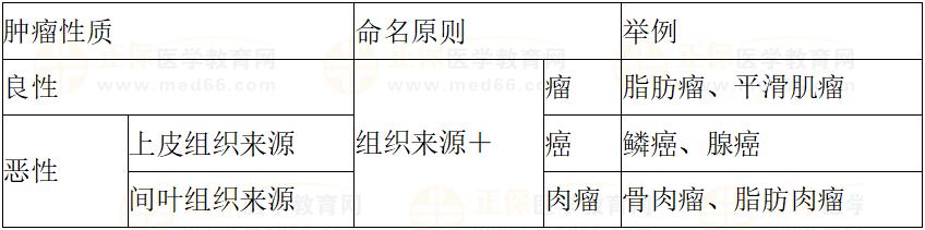 腫瘤的命名原則 腫瘤的命名原則