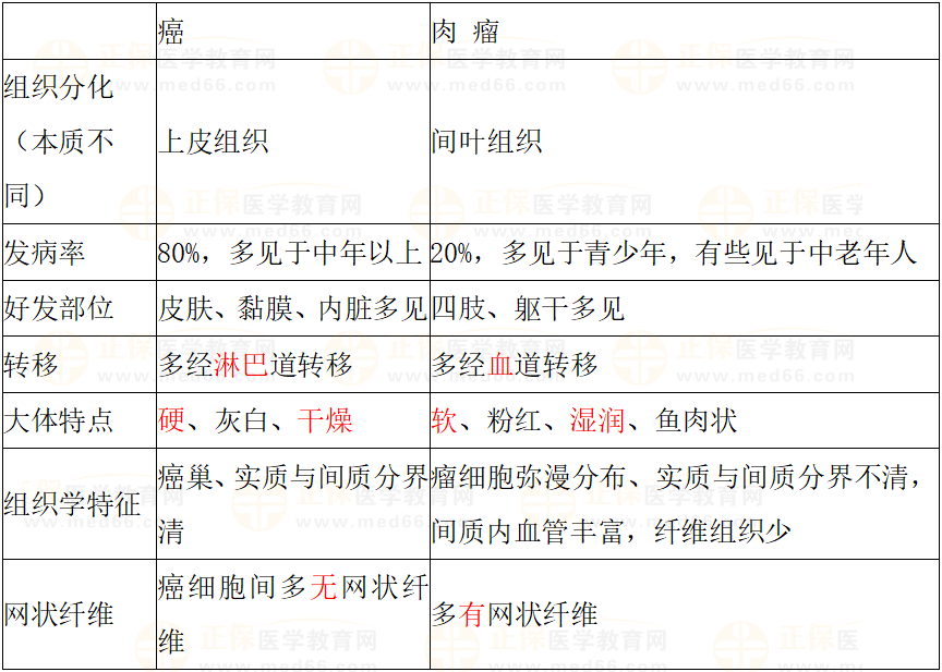 癌與肉瘤的區(qū)別 癌與肉瘤的區(qū)別