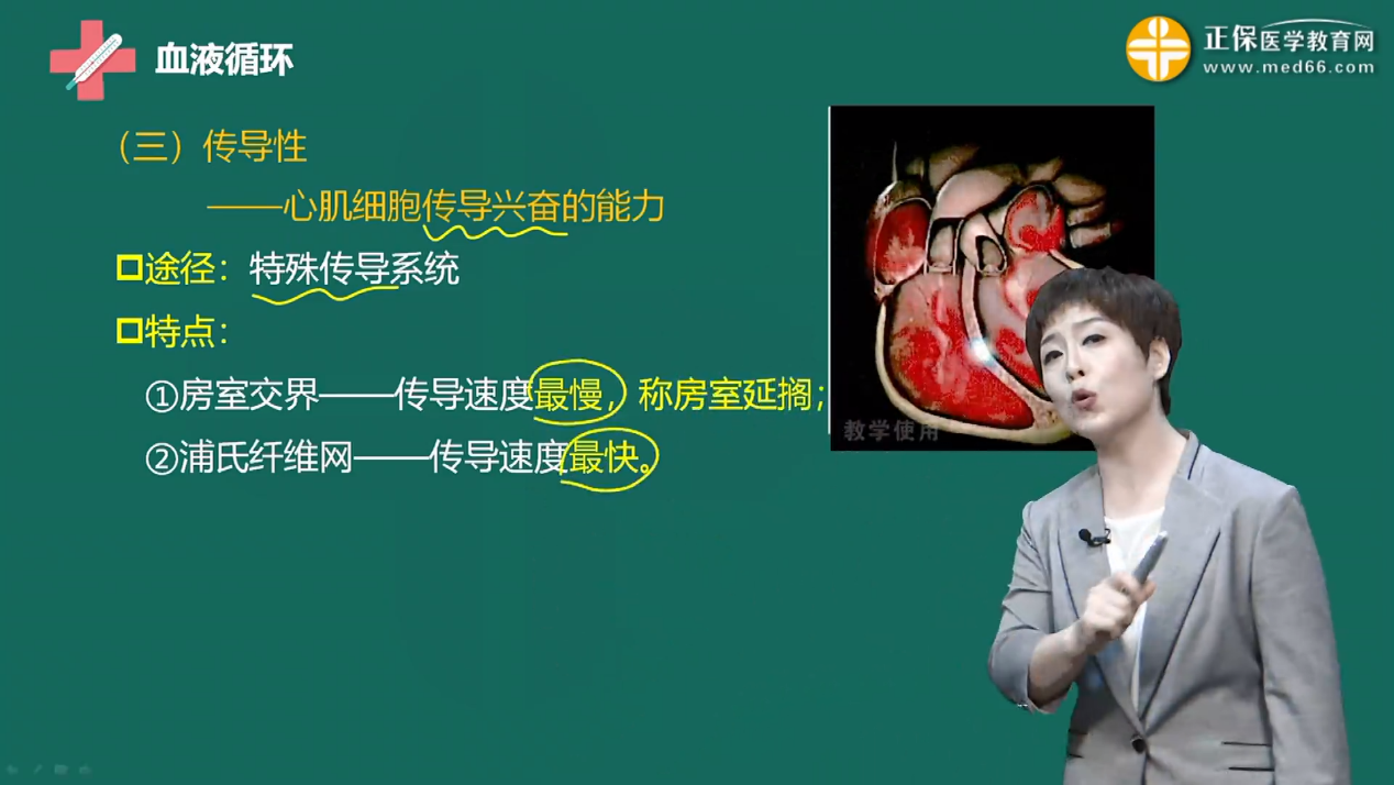 2023臨床執(zhí)業(yè)醫(yī)師考試考點2:心肌的生物電和生理特性 2023臨床執(zhí)業(yè)醫(yī)師考試考點2:心肌的生物電和生理特性