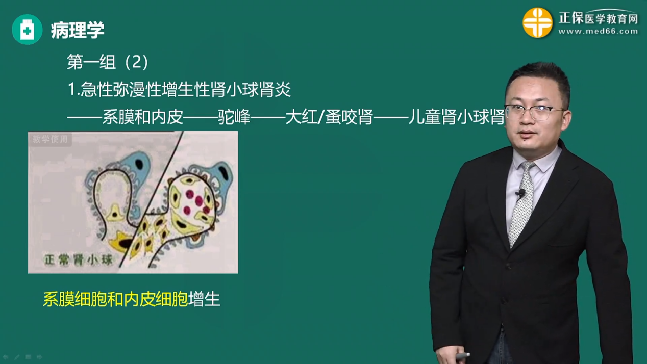 2023臨床執(zhí)業(yè)醫(yī)師考試考點11:彌漫性增生性腎小球腎炎 2023臨床執(zhí)業(yè)醫(yī)師考試考點11:彌漫性增生性腎小球腎炎