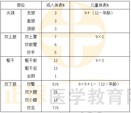 燒傷面積 燒傷面積